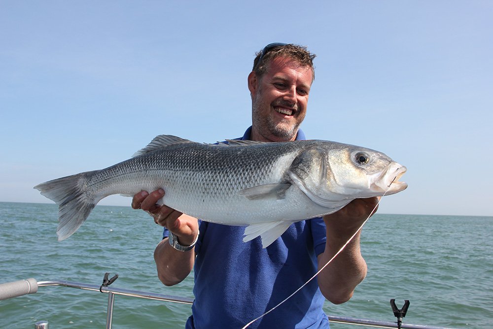 Bass